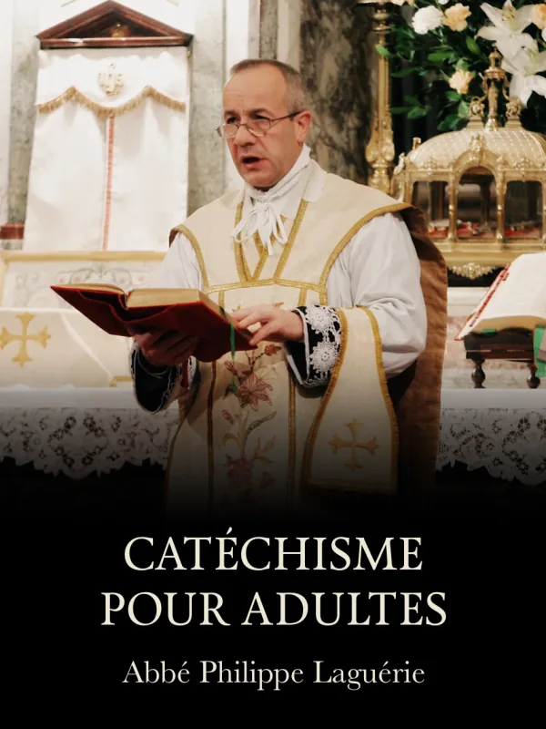 Cours de catéchisme pour adultes, couverture