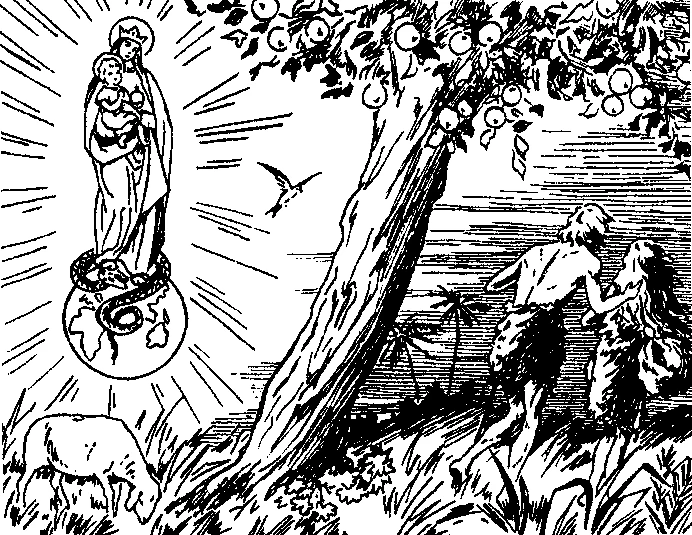 Illustration